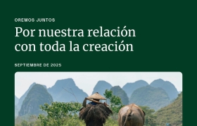 Oremos por nuestra relación con toda la creación como lo hizo San Francisco de Asís